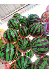 Karpuz Desenli Plastik Top