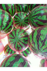 Karpuz Desenli Plastik Top